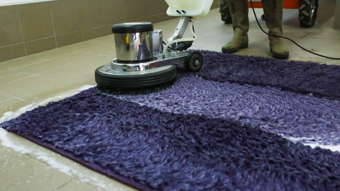 Professional carpet cleaning